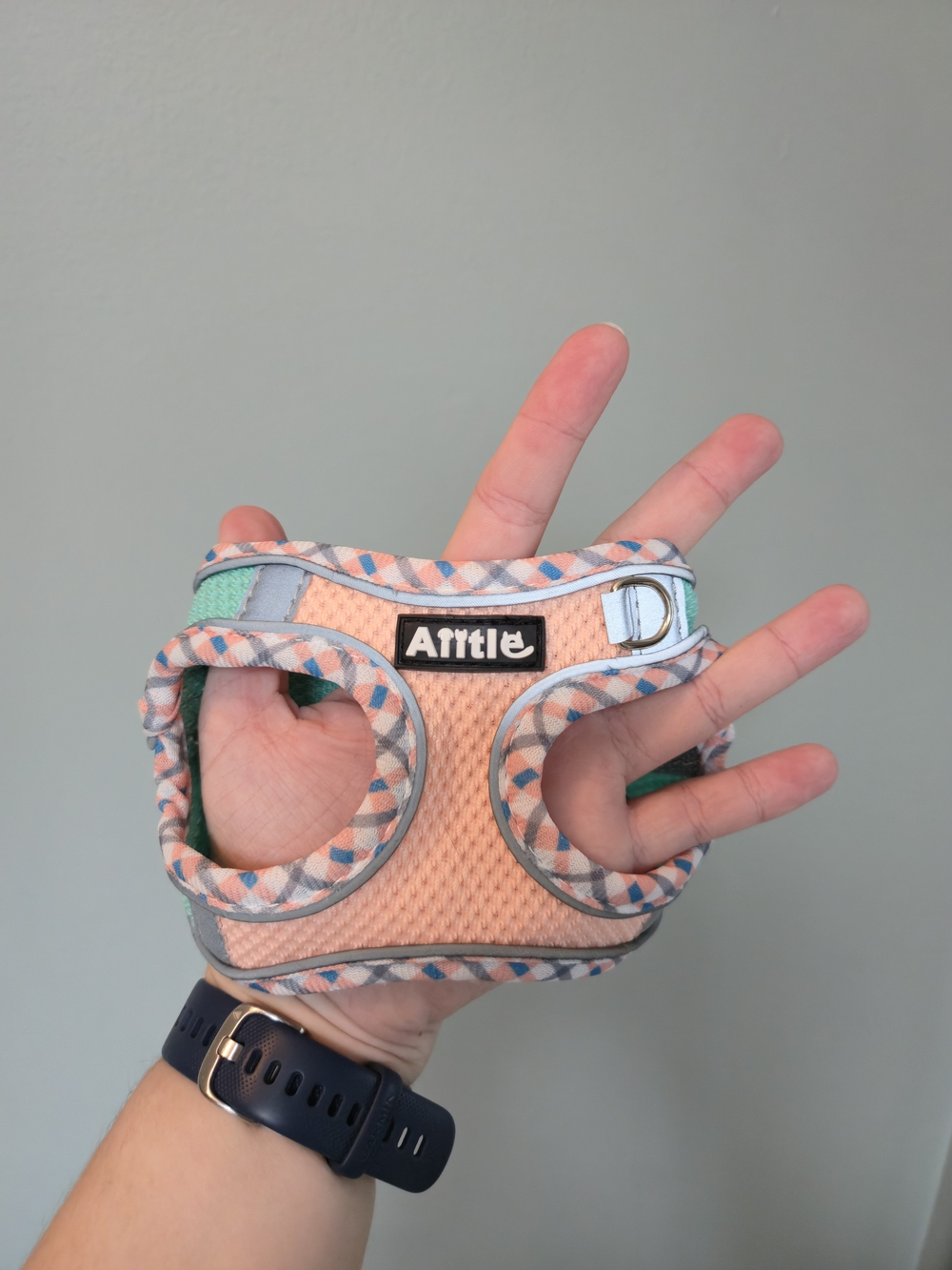 Soft Mesh Cat Harness - Peach & Mint